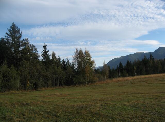 Schöner Blick auf das hintere Hörnle. Am blauen Himmel Wolkenbilder, weit auseinander gezogen. Davor, in der Wiese,  werden im Frühjahr wieder seltene Pflanzen wachsen. Jetzt  erst, im Herbst, darf sie gemäht werden.
