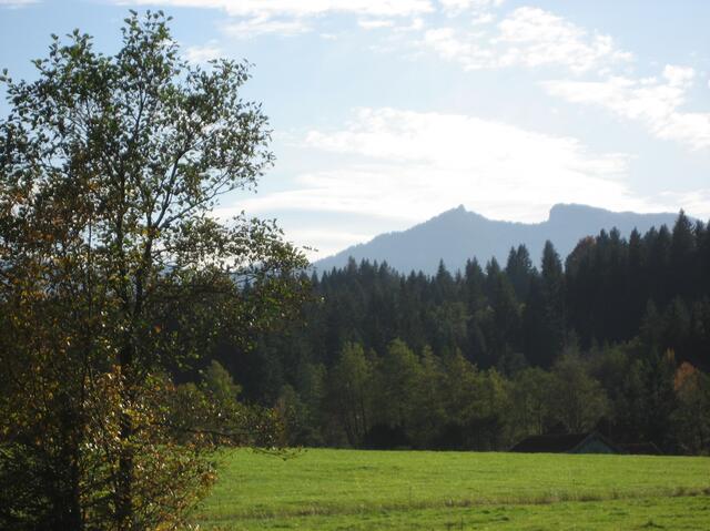 Vor mir der Teufelstättkopf und das Laubeneck. (Pürschling-Gebiet); Ammergauer Berge.