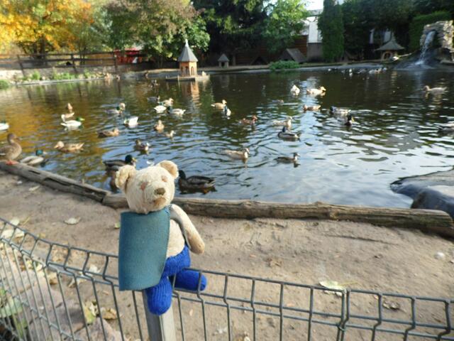 Mit O'Brain im Tierpark Bad Kösen am 15.10.2019 !