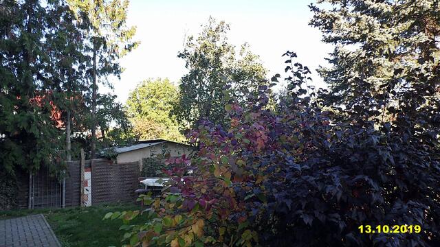 40  13.10.2019 - Sonntagsbilder - Fliederbaum (41) ! Temp: 6:23 18,7°C um 16:34 24,9°C Es werden Höchsttemperaturen von 25° (gefühlt: 26°) und schwacher Wind (15 km/h) aus Südsüdwest mit starken Böen (43 km/h) erwartet. Es kommt zu Niederschlagsmengen von 0 l/m², die Niederschlagswahrscheinlichkeit beträgt 12%, die Sonne scheint 8,5 Stunden.