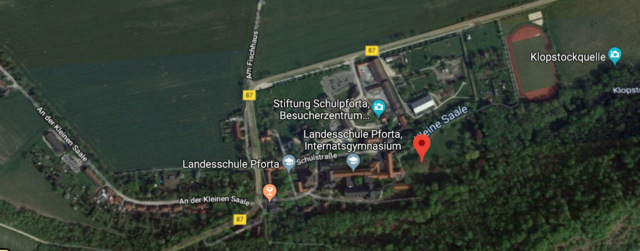 Standortkarte - Ahornblättrige Platane auf dem Gelände des Parkes der Landesschule Pforta  am 18.10.2019 !