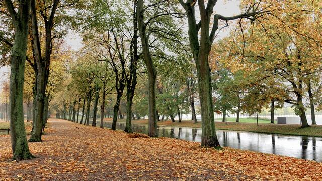 Neben dem Kanal des Schlossgartens führt die Lindenallee durch den herbstlichen Park. Foto: Helmut Kuzina