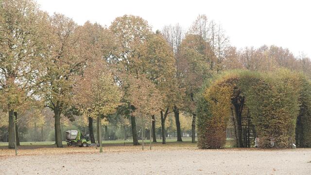 Alte Baumbestände und Laubgänge der Parkanlage beeindrucken auch im Herbst. Foto: Helmut Kuzina