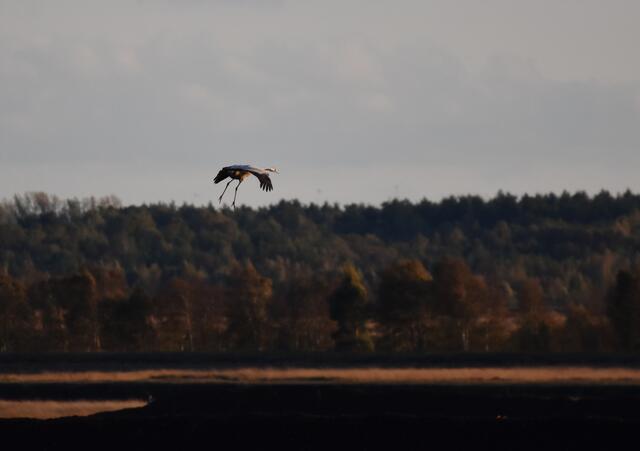 im Landeanflugmodus