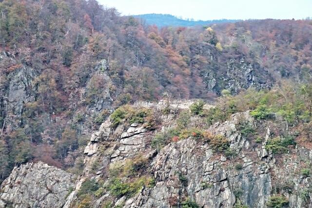 Blick aus der Gondel auf die Roßtrappe