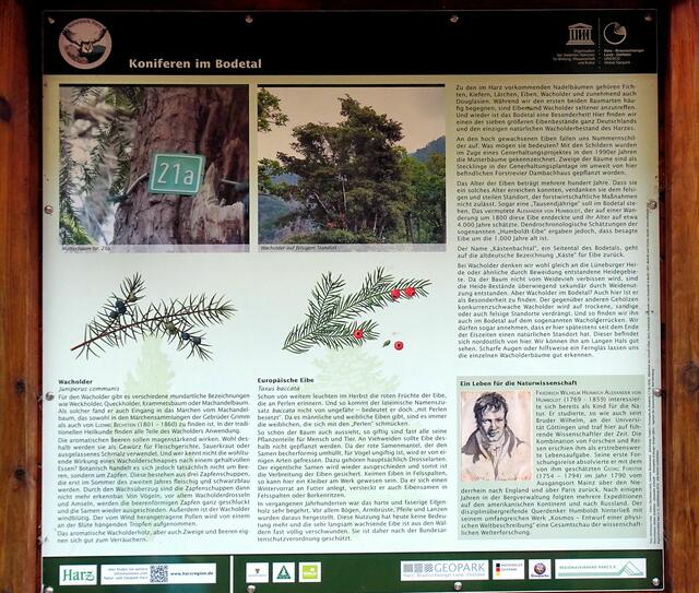 Informationstafel am Harzer - Hexen - Stieg