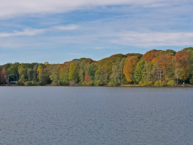 Böllertsee, das andere Ufer