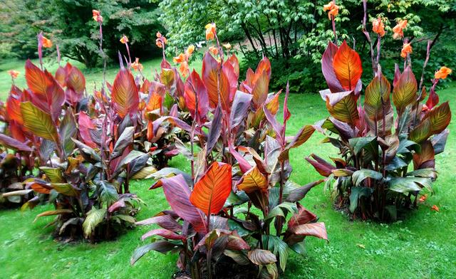 Auf dem Gartenkulturpfad in Überlingen