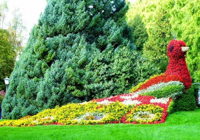 Ein Blumenpfau