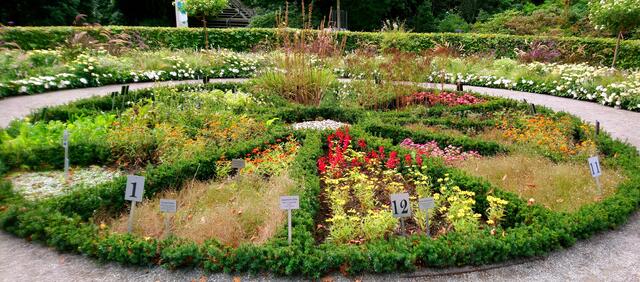 Die Blumenuhr (Info nächstes Bild)