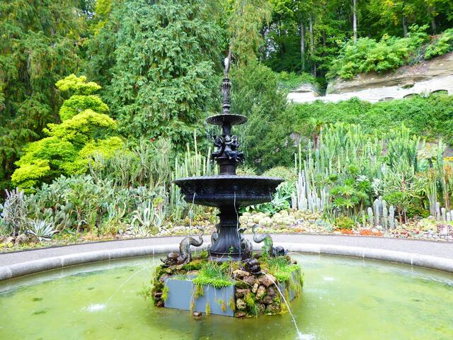 Kakteengarten mit Brunnen