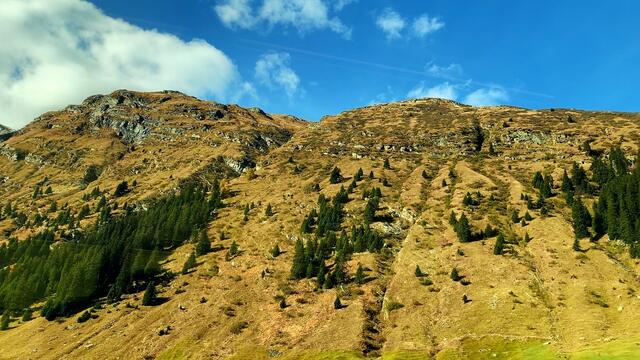 12. - 18. Oktober 2019. Blumenriviera. Italien. 
Heimfahrt I.