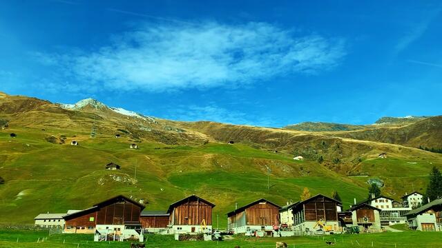 12. - 18. Oktober 2019. Blumenriviera. Italien. 
Heimfahrt I.