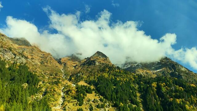 12. - 18. Oktober 2019. Blumenriviera. Italien. 
Heimfahrt I.