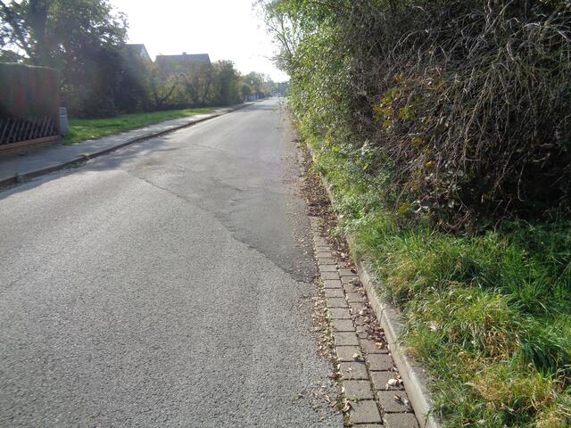 Der größe nach wächst das schon länger über die Fahrbahn.