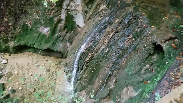 Auf dem Wanderweg von Meersburg nach Unteruhldingen: Ein Bachlauf in der Schlucht "Gehautobel"