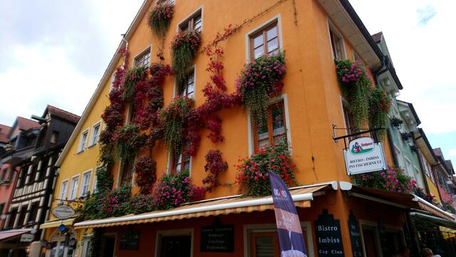 Das bewachsene Haus aus der Nähe betrachtet