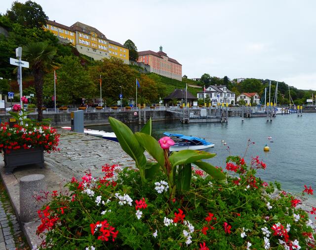 Das Staatsweingut und mehrere Schiffsanleger, von denen es unter anderem auch zur Insel Mainau geht.