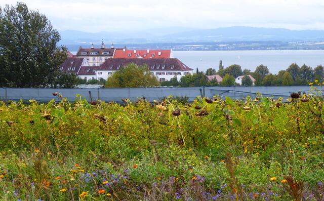 Schloss Hersberg in Immenstaad