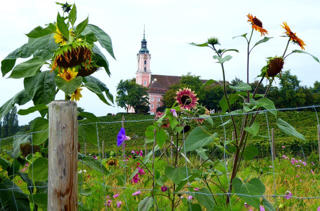 Klosterkirche Birnau
