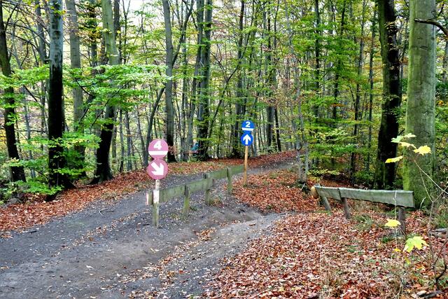 an der Biker - Strecke