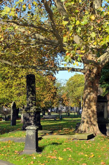 Nikolaifriedhof an der Goseriede