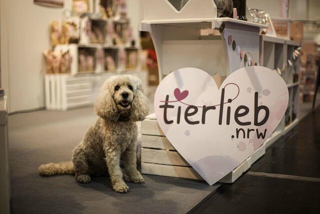 Die Premiere der tierlieb.nrw bot spannende Einblicke in eine verantwortungsvolle Heimtierhaltung. (Foto: Martin)