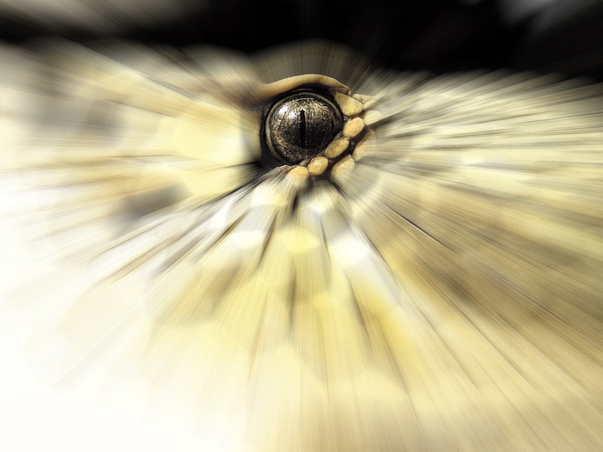 Nur einen Augenblick zu spät aufgepasst und Du hast ein Problem Essen