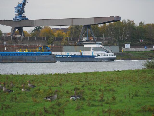 Das Motorschiff: Square