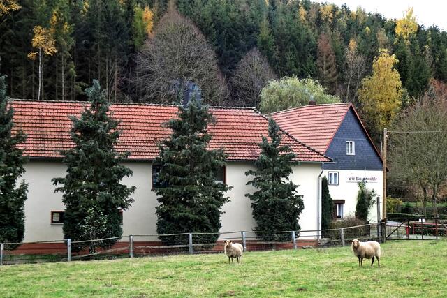 Untermühle Ritzgerode