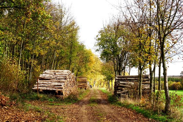 oberer Mühlenweg im Herbst