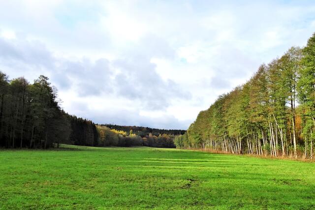 Wiesen im herbstlichen Eintal