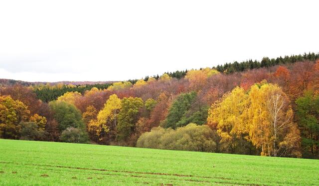 am oberen Mühlenweg