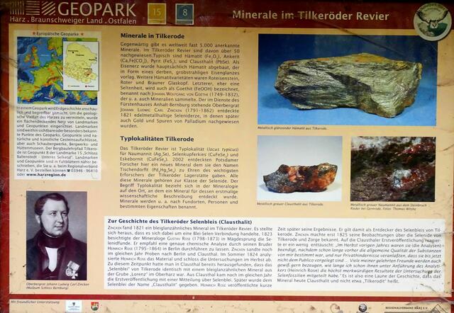 seltene Mineralien wie das Chlausthalit  wurde in dem Tilkeröder bzw. Eskaborner Revier gefunden