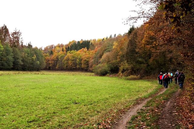 auf dem unteren Mühlenweg
