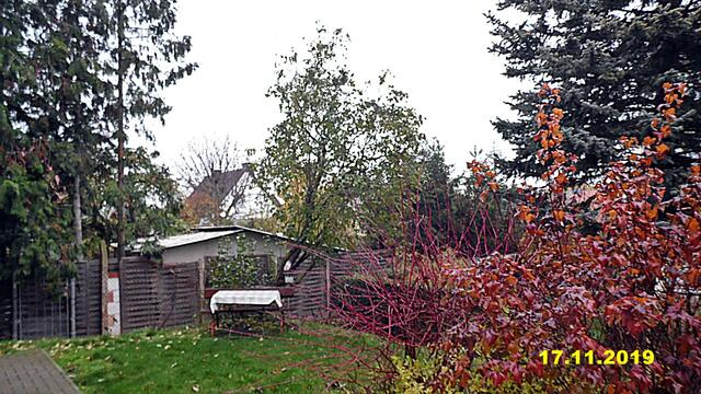 44  17.11.2019 - Sonntagsbilder - Fliederbaum (46) ! Temp: 5:27 1,4°C minus um 10:54 5,7°C plus / Es werden Höchsttemperaturen von 7° (gefühlt: 5°) und schwacher Wind (13 km/h) aus Nordnordost mit frischen Böen (31 km/h) erwartet. Es kommt zu Niederschlagsmengen von 1 - 3 l/m², die Niederschlagswahrscheinlichkeit beträgt 90%, die Sonne scheint nicht.