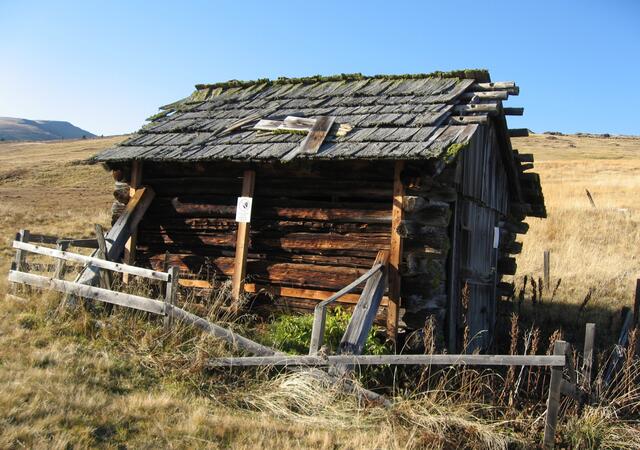 Beste Unterkunft! Wir sollten ein Zimmer buchen...;-))