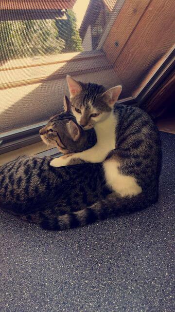 Buffy und Conny (Pflegestelle)