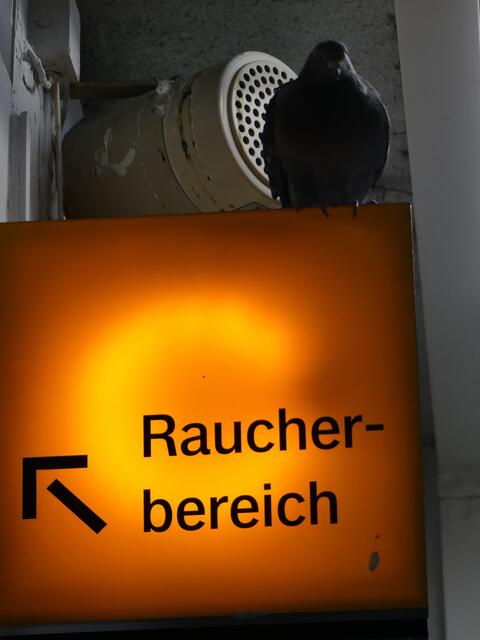 Rauchen mit Unterhaltung