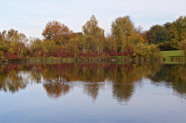 Herrliche herbstliche Spiegelbilder kann man machen