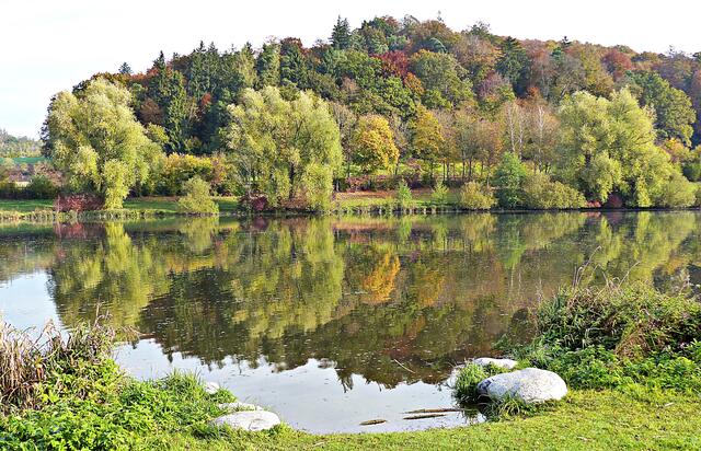Herrliche herbstliche Spiegelbilder kann man machen