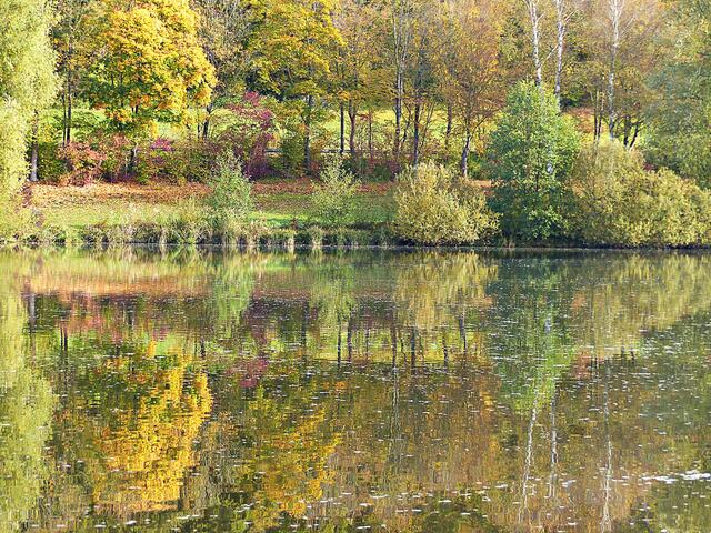 Herrliche herbstliche Spiegelbilder kann man machen