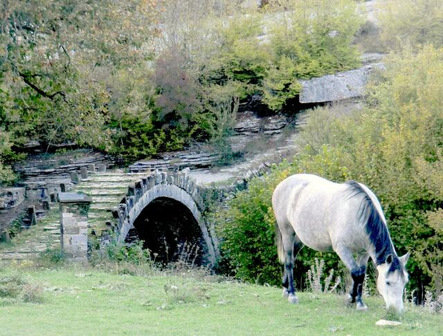 alte brücke bei der Vicusschlucht an der Grenze zu Albanien