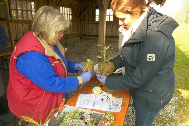 Heidi Kommer (li) und Christina Eiden (re) führten den Kurs "Kokedama, Pflanzenkunst ohne Plastik" mit einer Teilnehmergruppe auf der Mühlenwiese am Klostermühlenmuseum durch.