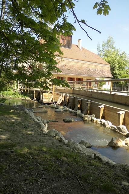 Das neu erbaute Gerinne mit Fischtreppe