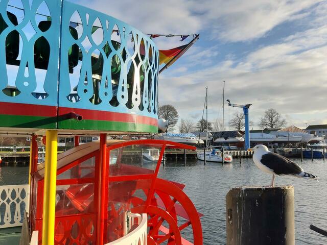 Warnemünde - alter Hafen - Hafenrundfahrt