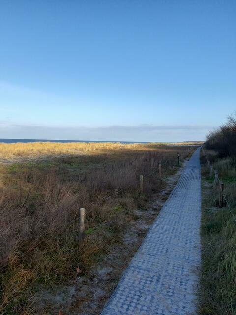 Dünen-Wanderweg bei Markgrafenheide