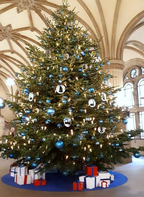 Es gibt wieder einen Weihnachtsbaum im Rathaus!