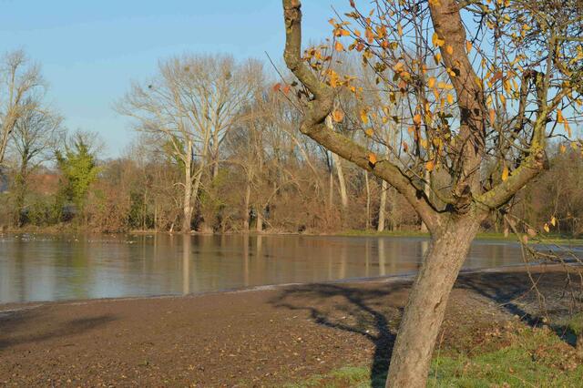 Apfelbaum mit Nikon ISO 200, 48 mm, 1/320 sec, f9.0,