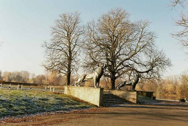 Löwenbastion Leica  ISO 200, 50 mm, 1/500 sec, f8.0,